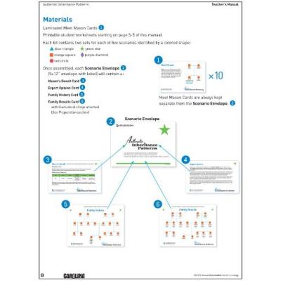 Authentic Inheritance Patterns Kit